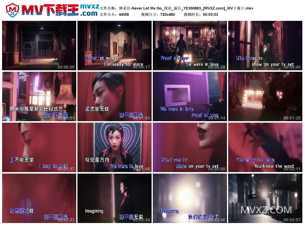 郭采洁-Never Let Me Go_国语_流行_YE300883